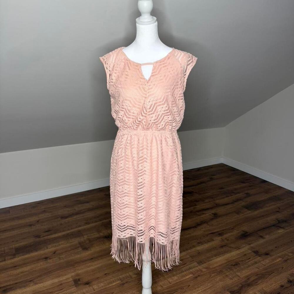 Blush Pink Lace Fringe Flapper Dress 1920s Gatsby Coquette Cottagecore Midi Sz M